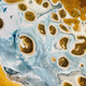 Illustration for article titled Earth View Has the Perfect Photo to Replace your Old Wallpaper
